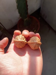 文玩核桃 边35大肚子35高33 承德野生密纹红玛瑙狮子头