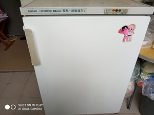 琴岛-利勃海尔牌冰柜一台,带3个抽屉,冷冻效果好,正常使用