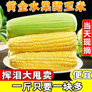 【14.9元3斤】水果玉米甜玉米爆汁生吃甜苞米新鲜现摘