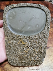 创汇时期 老燕子石 三叶虫化石砚台,燕子石又名蝙蝠石,寒武纪