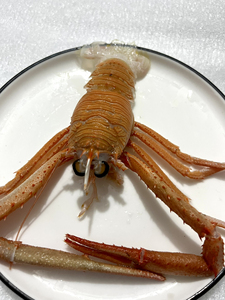 东海野生海虾长毛腿虾鲜海虾海鲜冷冻水产
