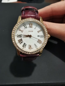 香港titus铁达时 水晶 真皮 贝壳表盘 石英女士手表,几