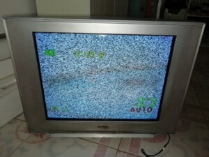 三洋25寸纯平电视机,屏幕中出现一道印,废品价,不砍价,不砍