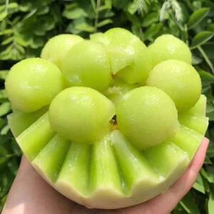 山东玉菇甜瓜新鲜孕妇水果应季头茬现摘奶香蜜瓜甜香瓜包装微瑕