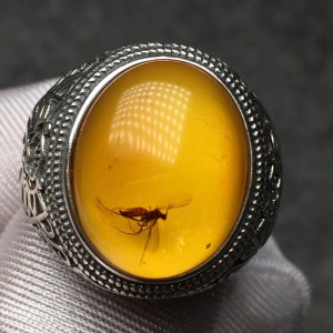 完整虫珀戒指