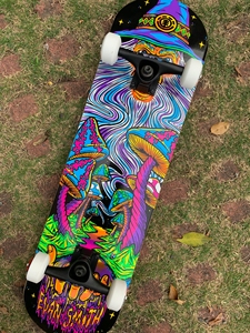 element专业进口滑板王一博同款品牌滑板初学者滑板刷街代