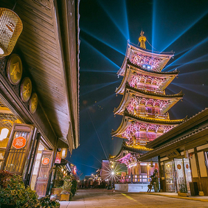 拈花湾灵山大佛双园年卡
