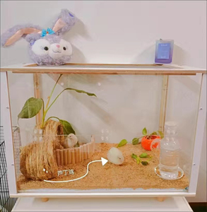 60/80基础笼仓鼠笼子金丝熊超大别墅花枝鼠套装齐透明亚克力