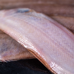 新鲜野生龙利鱼条