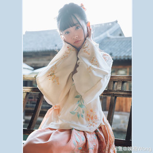 十三余豆蔻年华袄裙 重工 m码 保存完好全新带吊牌 原价15