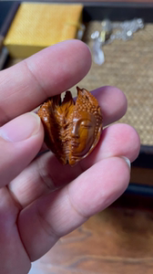 一念之间#橄榄核雕#橄榄核#天鹰#天鹰早年代表作品,异形橄榄