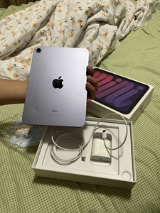 苹果ipad mini6 美版 wi-fi 64g 紫色的