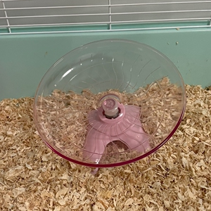 全新 仓鼠玩具白色运动大号18cm跑盘飞碟转盘跑轮超静音带支