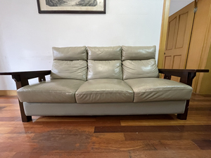 实木头层牛皮沙发,台湾品牌沙克,成色如图,喜欢的可以议价.