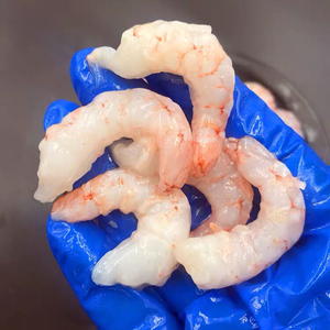 青岛野生蛎虾虾仁红虾鹰爪虾冷冻大虾仁水饺虾仁,都是小船打捞的