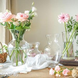 北欧ins风玻璃透明花瓶摆件客厅桌面插花鲜花水养创意喇叭口