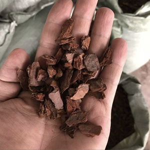 【松鳞批发20斤包邮】松树皮发酵腐熟大块兰花专用土松鳞兰花月