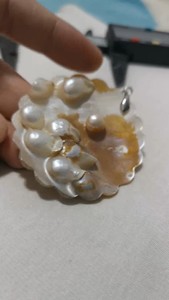 日本回流珠宝首饰，天然海水珍珠珍珠贝一体吊坠，详情看视频图片