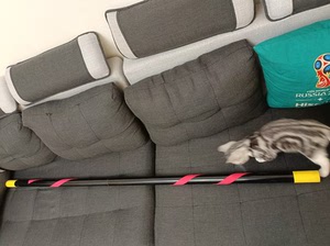 00饭团君cos淘宝凹凸世界旧设嘉德罗斯大罗神通棍cos道具武器假发头