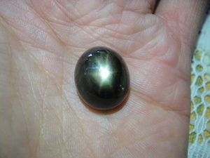 天然星光宝石裸石  收藏级巨型黑色星光蓝宝石31.35克拉包邮