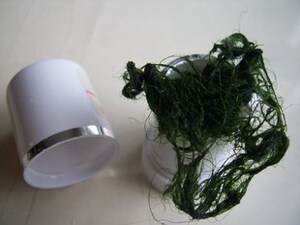 zhangyusheng00淘宝绿毛龟龟背基枝藻(5克)0人付款15.