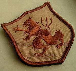 美国海军特种作战群/devgru/海豹6队/seals6金队臂章/徽章 魔术贴