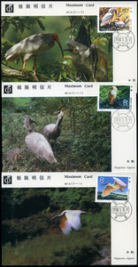 MC-4朱鹮邮票极限片3枚全 濒危珍禽 鸟专题 明信片 邮品收藏