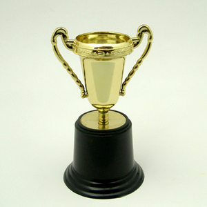 金色小奖杯奖状 一等奖 早教幼儿园活动儿童孩子礼物玩具道具礼品