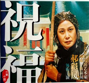 经典秦腔正版vcd光盘电影艺术片 《祝福》外景制作