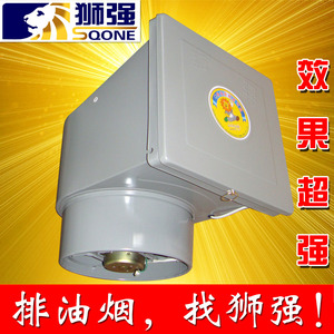 狮强牌厨房油烟排气扇机风换气扇10寸窗式静音强力抽吸油烟S601A