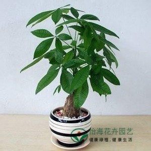 狠狠狠狠狠狠操逼高清图片