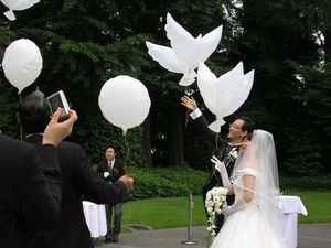 婚庆主题白鸽放飞气球白天鹅婚庆爱的象征和平鸽大号铝箔婚庆气球