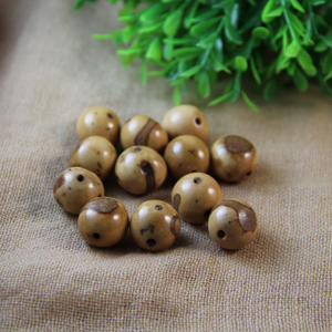 大佛眼菩提  天然菩提子散珠 散珠diy
