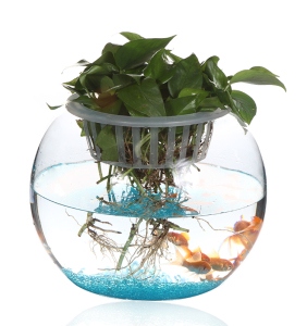 mayaodong88淘宝圆形鱼缸玻璃造景开放式超白透明花边圆型小型办公