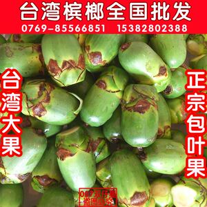 新鲜台湾大白中槟榔果做包叶大颗和台灣檳榔红灰白灰供买家加工