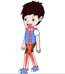 flash骨骼动画走路图片