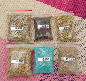 提摩西黑麦草车前草金钱草燕麦草苜蓿高纤维牧草种子天然陆龟种子