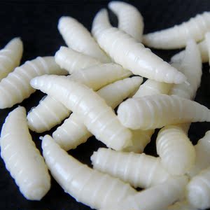 纳百川面包虫路亚软饵 假耳 象牙色假蛆 1.6cm 50个每包