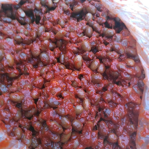 徐州新沂睢宁土特产农家草捂鲜盐豆子鲜辣盐豆酱豆一份500克