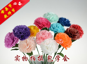 纸藤花材料50朵康乃馨材料包/手工课作业diy纸花制作 教师节礼物