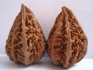 00youshange旗舰店天猫野生核桃文玩塔尖大秋子核桃包浆异形长秋子