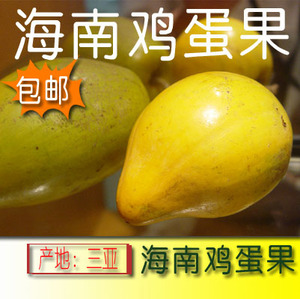 三亚鸡蛋果 海南特产热带水果 5斤装空运包邮特卖 原产发货
