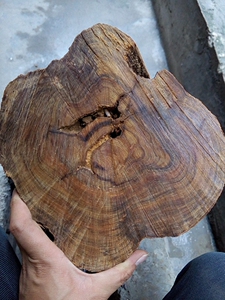 土沉香广西原木摆件