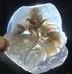 山甲鳞片