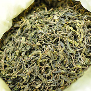 老鹰茶老阴茶叶 新茶清凉茶解暑茶高山野生茶散装包邮250g