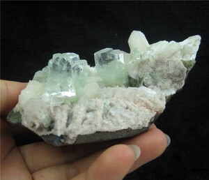 鱼眼石 丝光沸石 辉沸石之家矿物晶体标本 Apophyllite 1542