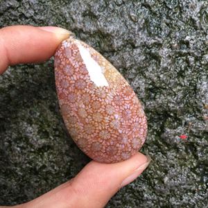 紫红冰种满花 天然珊瑚玉手镯 珊瑚化石镯子吊坠戒面雕刻件
