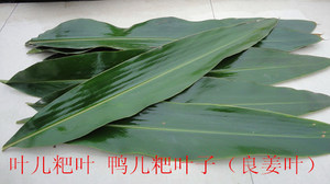 【叶儿粑的叶子】叶儿粑的叶子品牌,价格 阿里巴巴