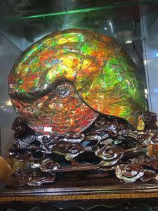 加拿大斑彩螺/斑彩石 李居明风水磨法石整螺 招财镇宅 39*34cm