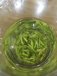 莫干黄芽